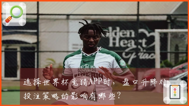 选择世界杯竞猜APP时，盘口升降对投注策略的影响有哪些？