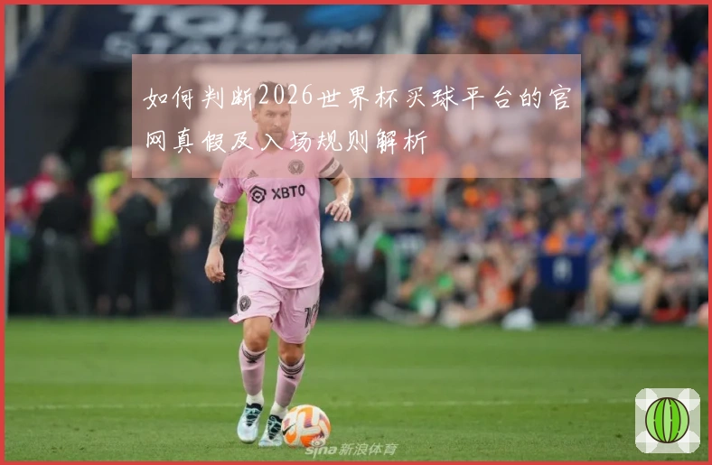 如何判断2026世界杯买球平台的官网真假及入场规则解析