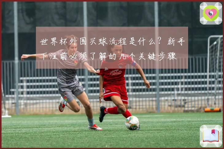 世界杯外围买球流程是什么？新手下注前必须了解的几个关键步骤
