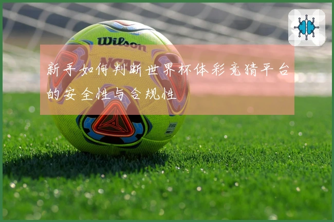 新手如何判断世界杯体彩竞猜平台的安全性与合规性