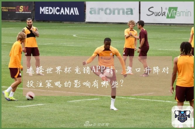 选择世界杯竞猜APP时，盘口升降对投注策略的影响有哪些？