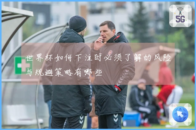 世界杯如何下注时必须了解的风险与规避策略有哪些