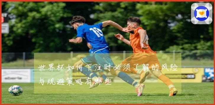 世界杯如何下注时必须了解的风险与规避策略有哪些